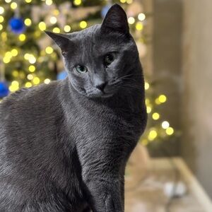 Meet your Posher, Maryann